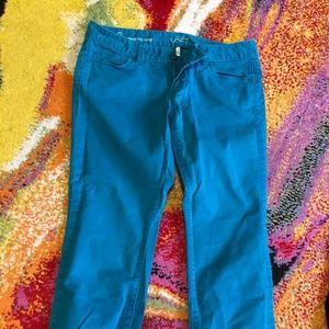 Ann Taylor LOFT capri